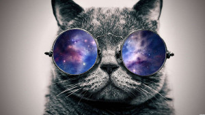 Cat Glasses